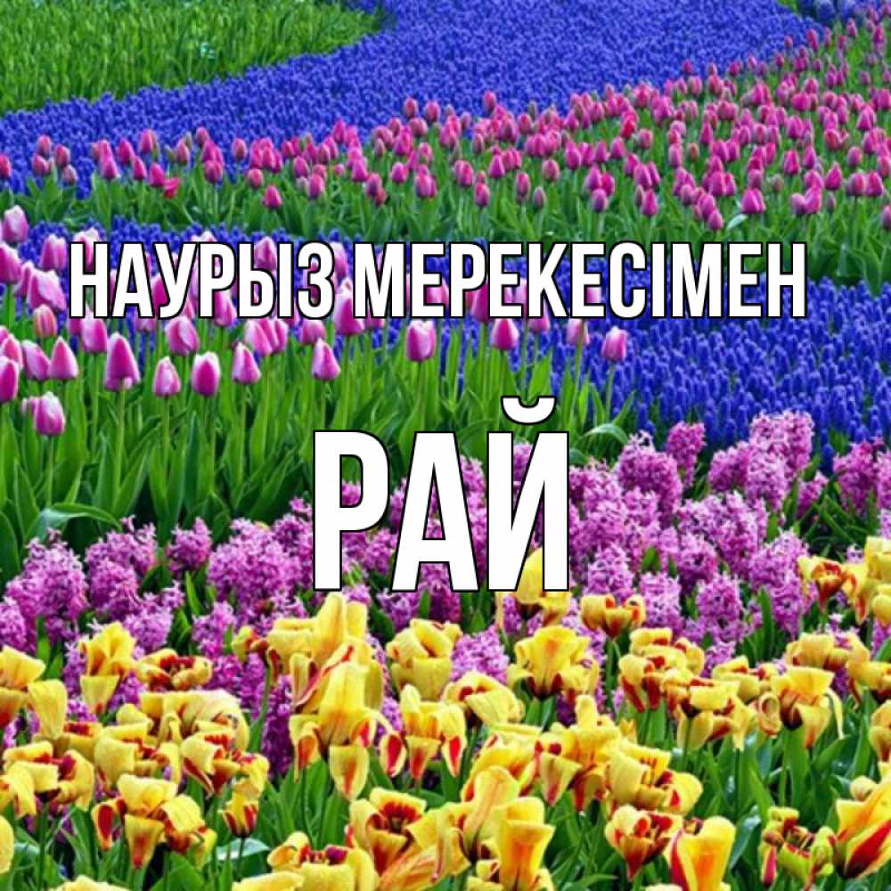 Күн сайын ашық хат с именем, РАЙ Наурыз мерекесімен цветы Онлайн тегін жүктеп алу тілектері бар керемет карта 