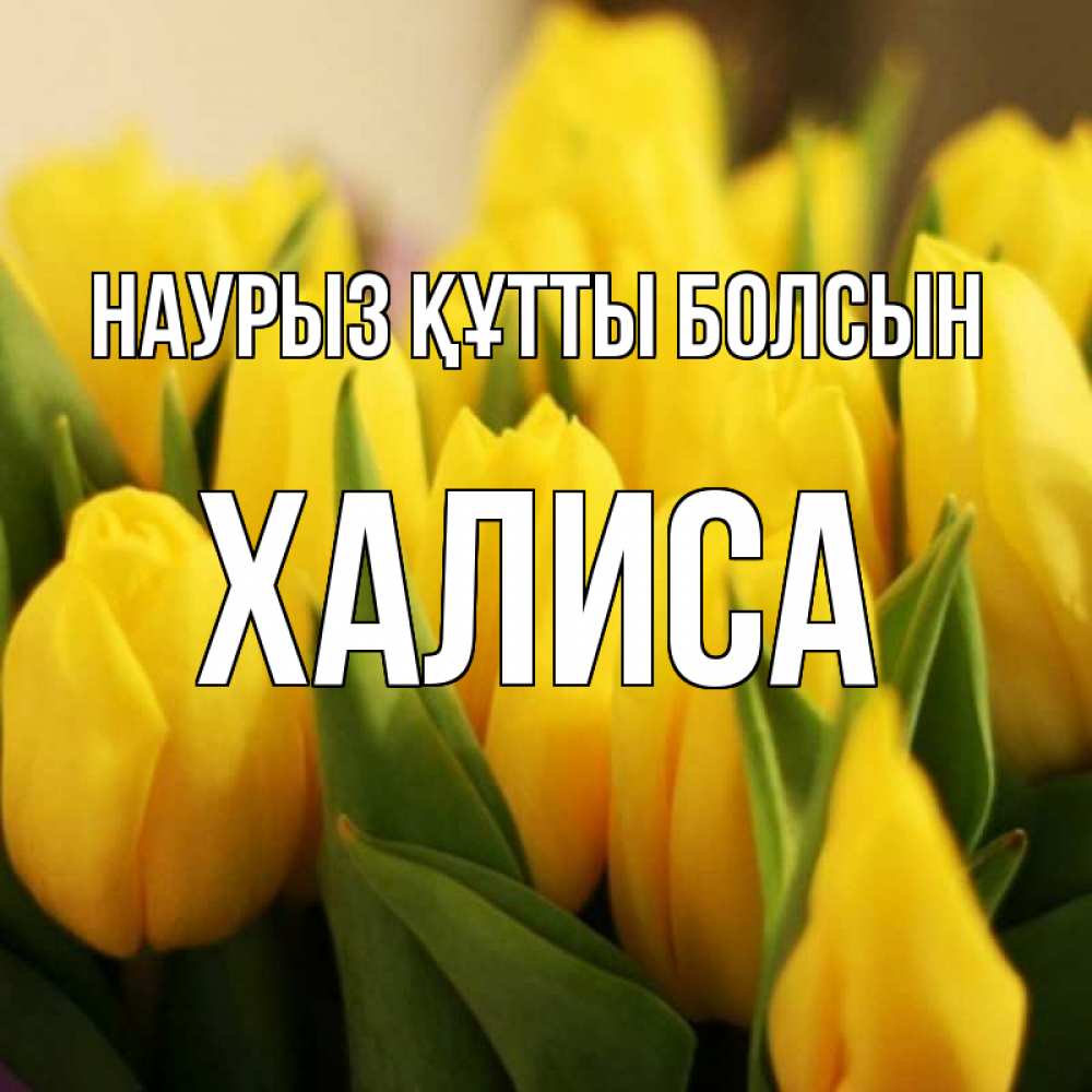 Күн сайын ашық хат с именем, ХАЛИСА Наурыз құтты болсын цветы Онлайн тегін жүктеп алу тілектері бар керемет карта 