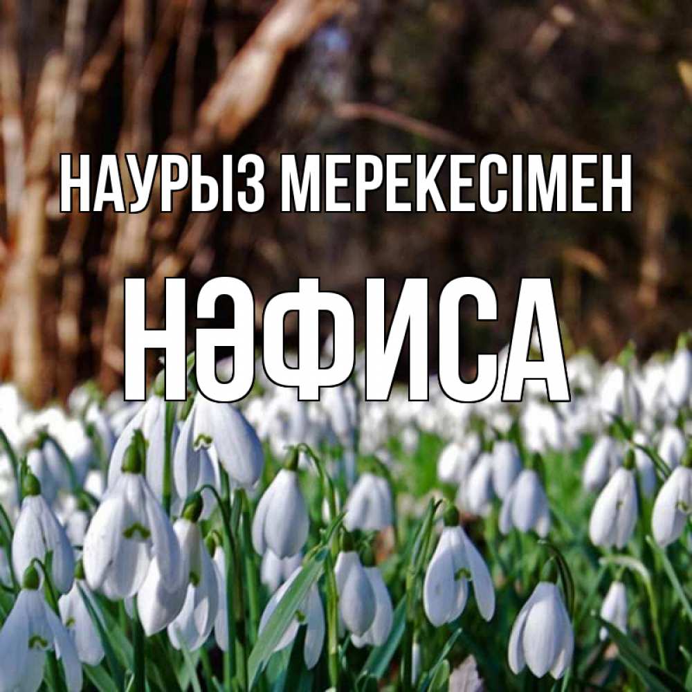 Күн сайын ашық хат с именем, НӘФИСА Наурыз мерекесімен с подснежниками 1 Онлайн тегін жүктеп алу тілектері бар керемет карта 