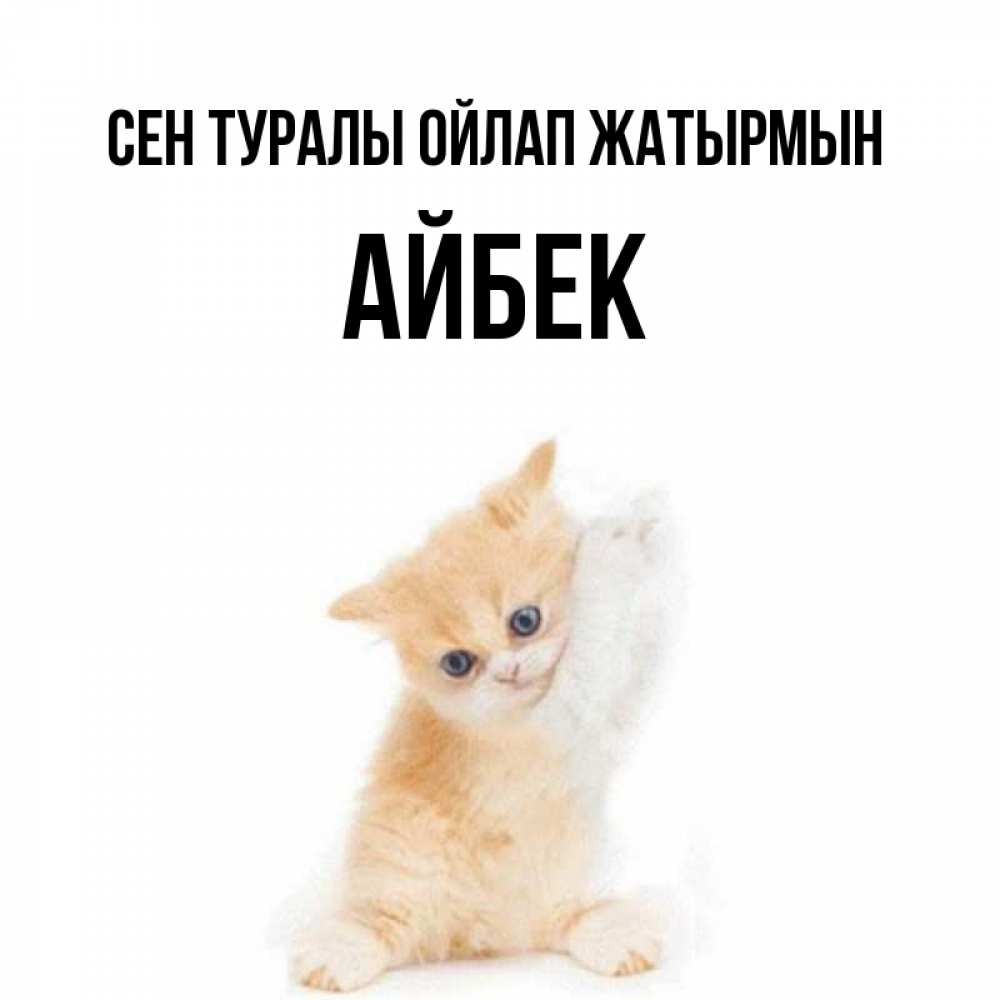 Күн сайын ашық хат с именем, Айбек Сен туралы ойлап жатырмын зверушки и милота Онлайн тегін жүктеп алу тілектері бар керемет карта 
