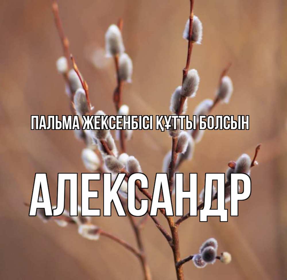 Күн сайын ашық хат с именем, Александр Пальма жексенбісі құтты болсын верба Онлайн тегін жүктеп алу тілектері бар керемет карта 