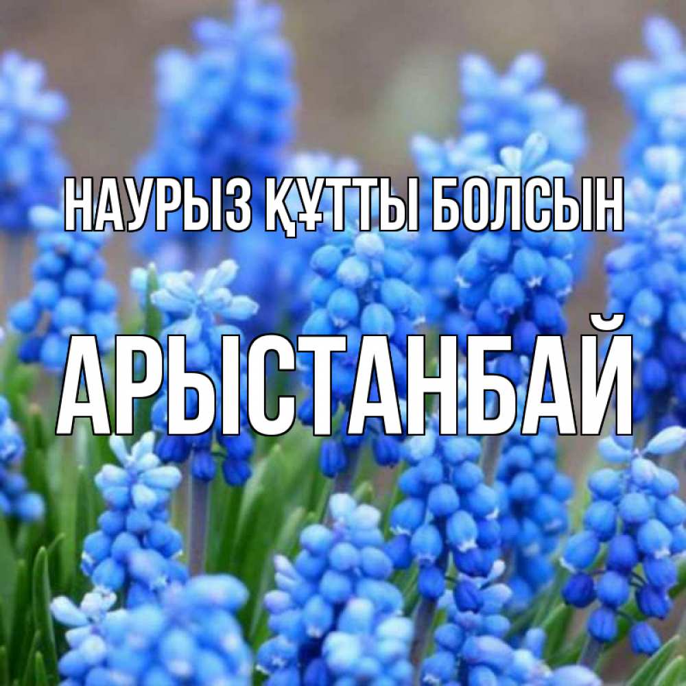 Күн сайын ашық хат с именем, Арыстанбай Наурыз құтты болсын Поздравительная открытка для женщин с цветами на праздничную дату Онлайн тегін жүктеп алу тілектері бар керемет карта 