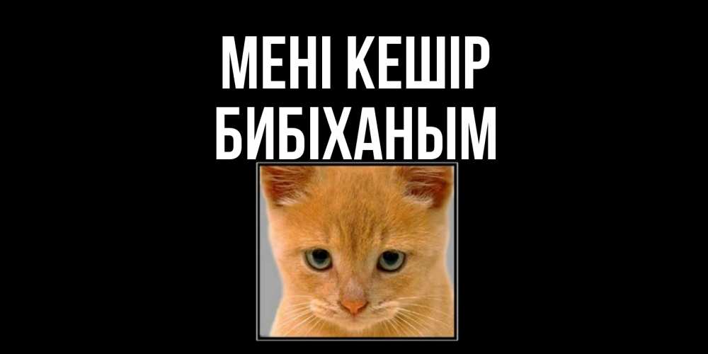 Күн сайын ашық хат с именем, БИБІХАНЫМ Мені кешір рыжий грустный кот просит прощения Онлайн тегін жүктеп алу тілектері бар керемет карта 