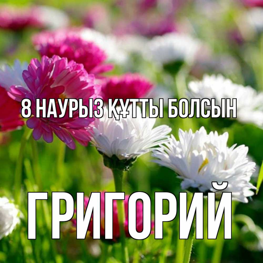 Күн сайын ашық хат с именем, Григорий 8 наурыз құтты болсын международный женский день 1 Онлайн тегін жүктеп алу тілектері бар керемет карта 