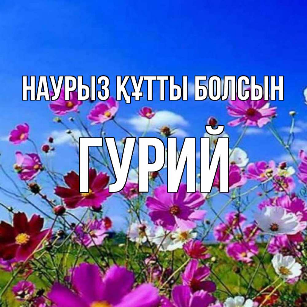 Күн сайын ашық хат с именем, Гурий Наурыз құтты болсын цветы Онлайн тегін жүктеп алу тілектері бар керемет карта 