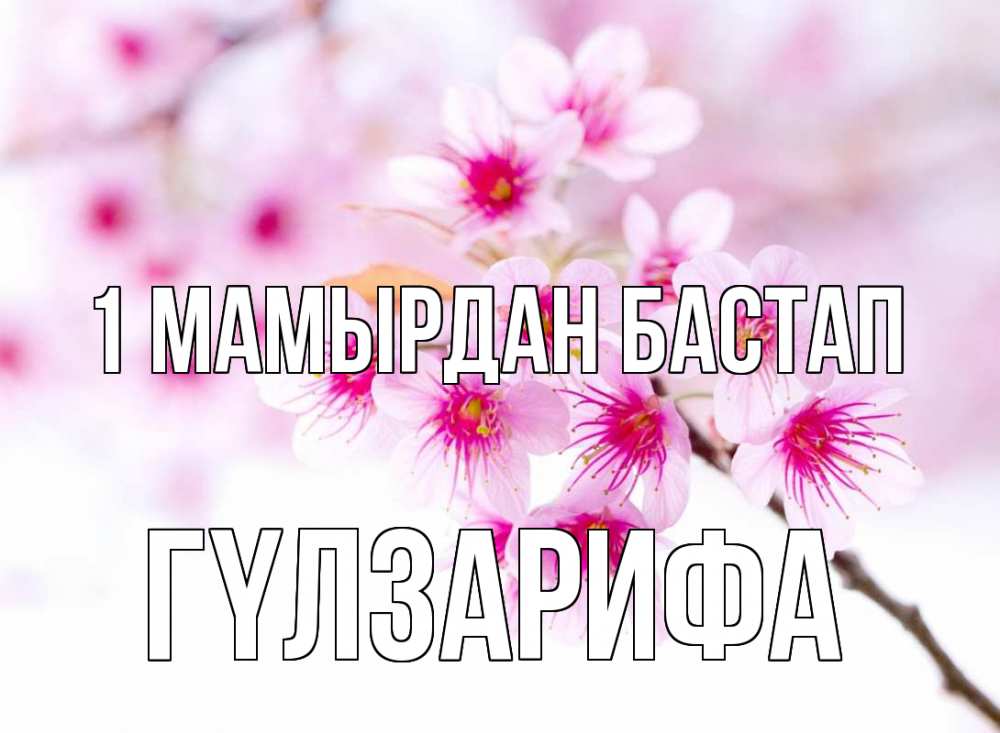 Күн сайын ашық хат с именем, ГҮЛЗАРИФА 1 мамырдан бастап С 1 мая 2 Онлайн тегін жүктеп алу тілектері бар керемет карта 
