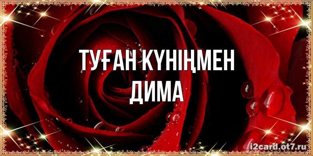Күн сайын ашық хат с именем, Дима Туған күніңмен цветок в росе на день рождения Онлайн тегін жүктеп алу тілектері бар керемет карта 