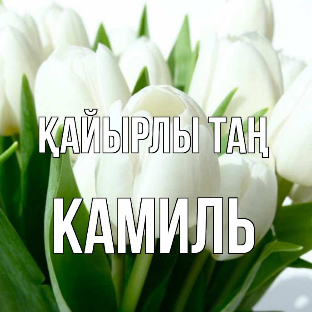 Күн сайын ашық хат с именем, Камиль Қайырлы таң открытки на каждый день по именам Онлайн тегін жүктеп алу тілектері бар керемет карта 