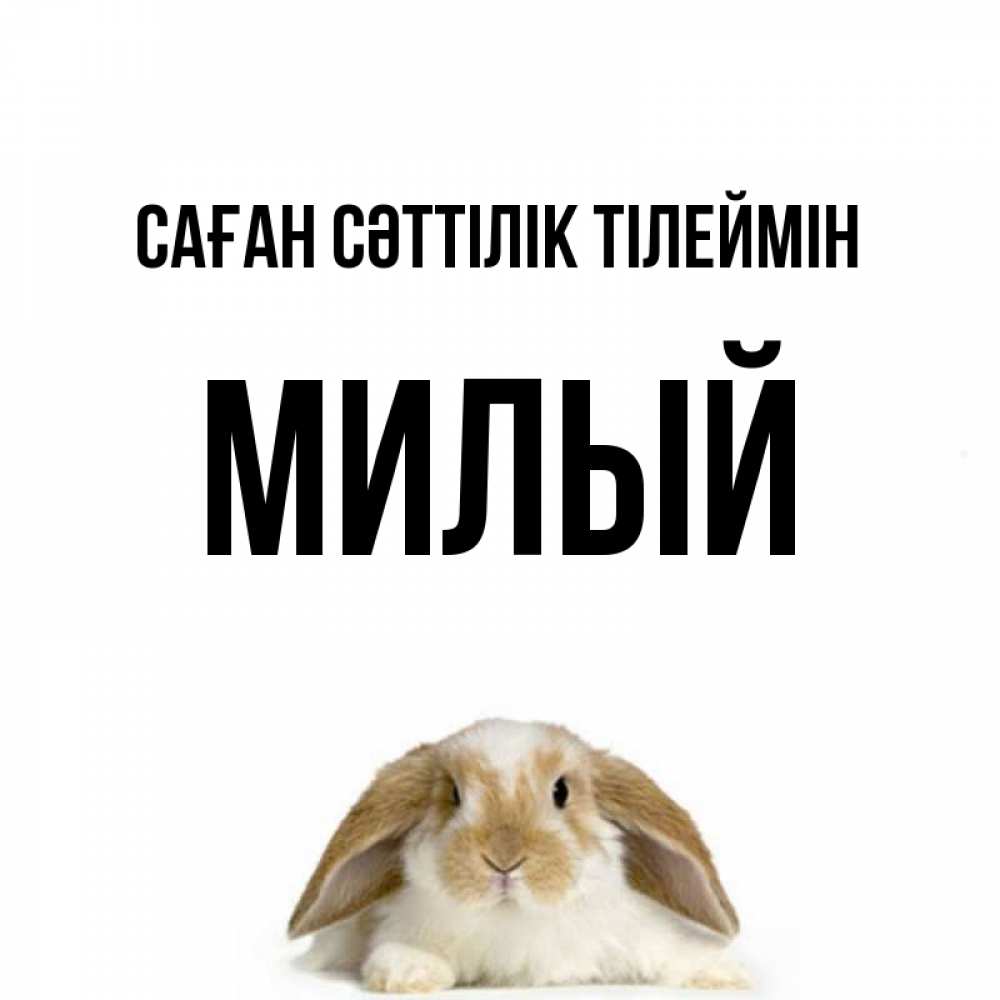 Күн сайын ашық хат с именем, Милый Саған сәттілік тілеймін открытки с произвольным текстом который можно вставить в открытку и создать ее самостоятельно бесплатно онлайн Онлайн тегін жүктеп алу тілектері бар керемет карта 