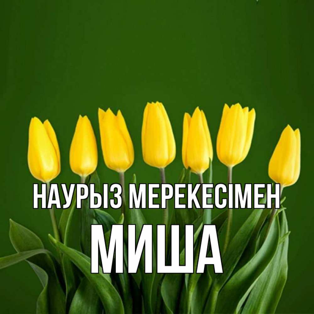 Күн сайын ашық хат с именем, Миша Наурыз мерекесімен желтого цвета 3 Онлайн тегін жүктеп алу тілектері бар керемет карта 