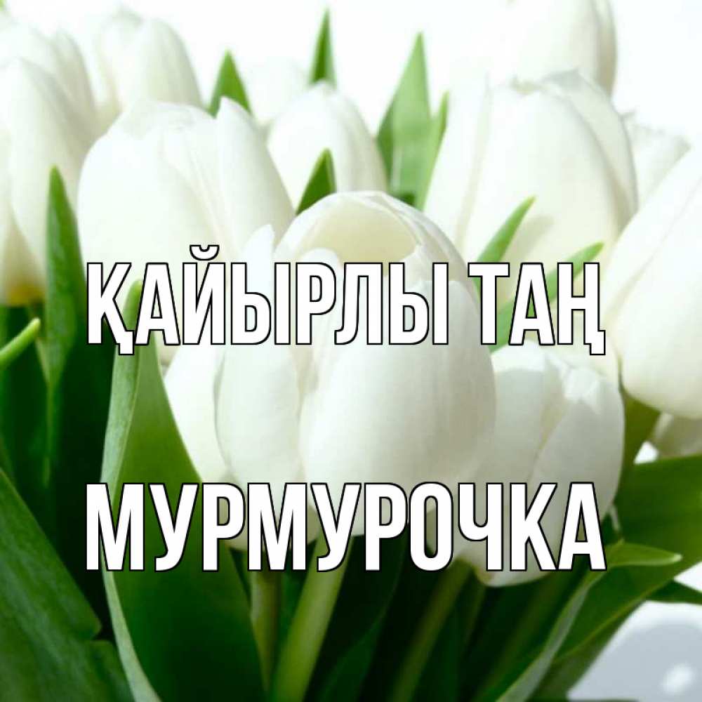 Күн сайын ашық хат с именем, Мурмурочка Қайырлы таң открытки на каждый день по именам Онлайн тегін жүктеп алу тілектері бар керемет карта 
