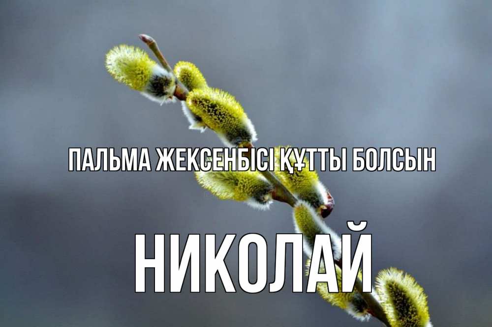 Күн сайын ашық хат с именем, Николай Пальма жексенбісі құтты болсын верба Онлайн тегін жүктеп алу тілектері бар керемет карта 
