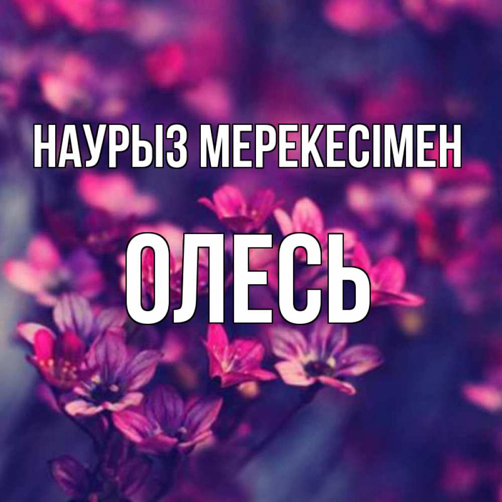 Күн сайын ашық хат с именем, Олесь Наурыз мерекесімен небольшие цветы 1 Онлайн тегін жүктеп алу тілектері бар керемет карта 
