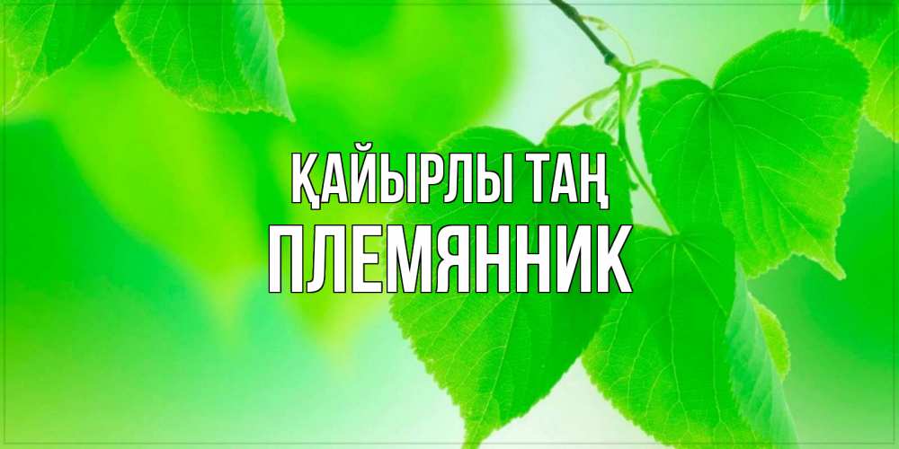 Күн сайын ашық хат с именем, Племянник Қайырлы таң доброе утро с березовыми листьями Онлайн тегін жүктеп алу тілектері бар керемет карта 
