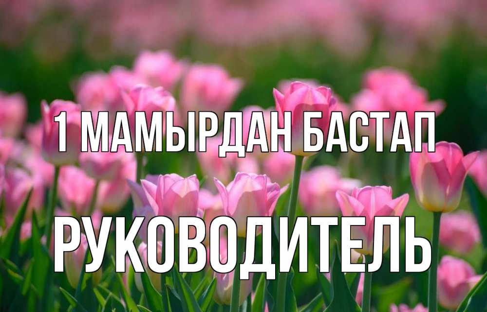 Күн сайын ашық хат с именем, Руководитель 1 мамырдан бастап С 1 мая Онлайн тегін жүктеп алу тілектері бар керемет карта 