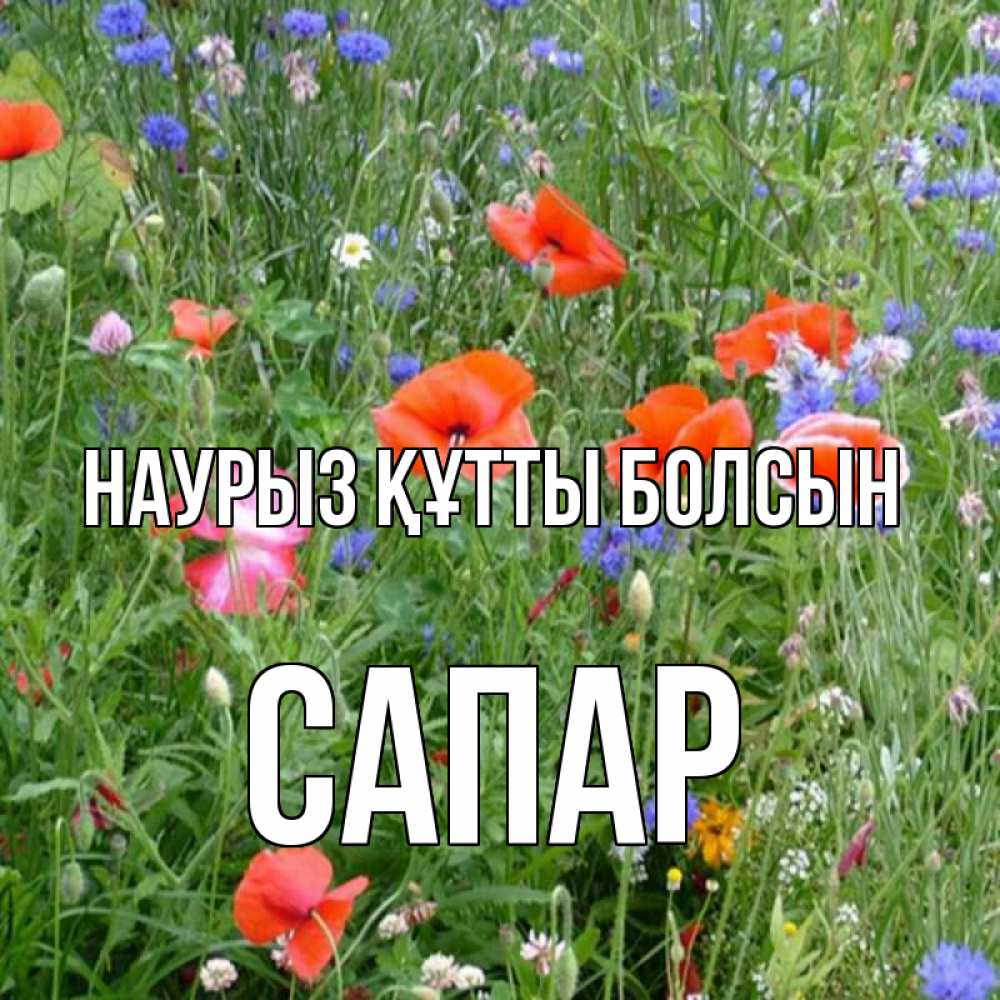 Күн сайын ашық хат с именем, САПАР Наурыз құтты болсын наурыз  4 Онлайн тегін жүктеп алу тілектері бар керемет карта 