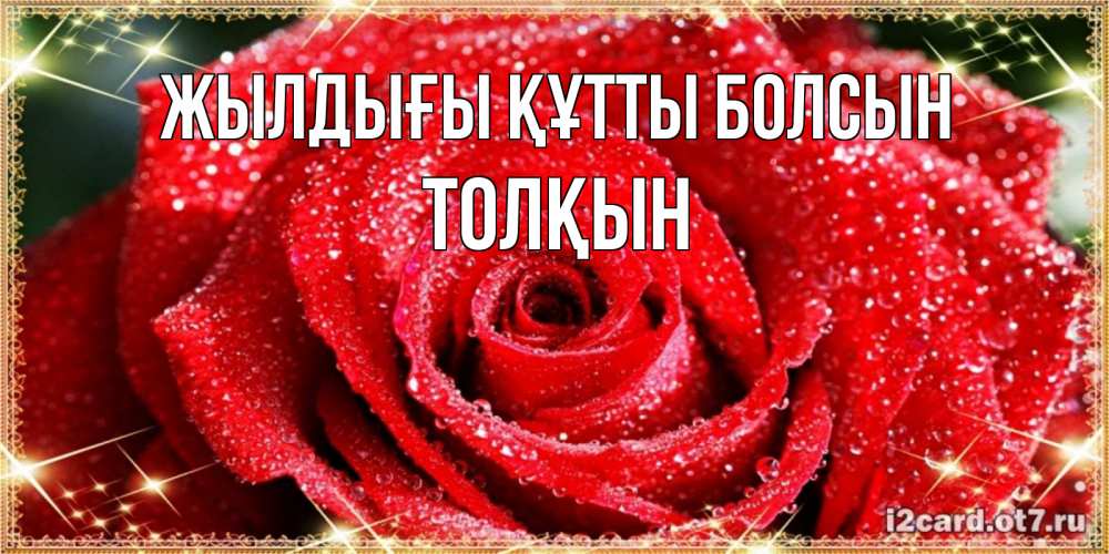 Күн сайын ашық хат с именем, ТОЛҚЫН Жылдығы құтты болсын роса и роза. открытка с красивой розой Онлайн тегін жүктеп алу тілектері бар керемет карта 