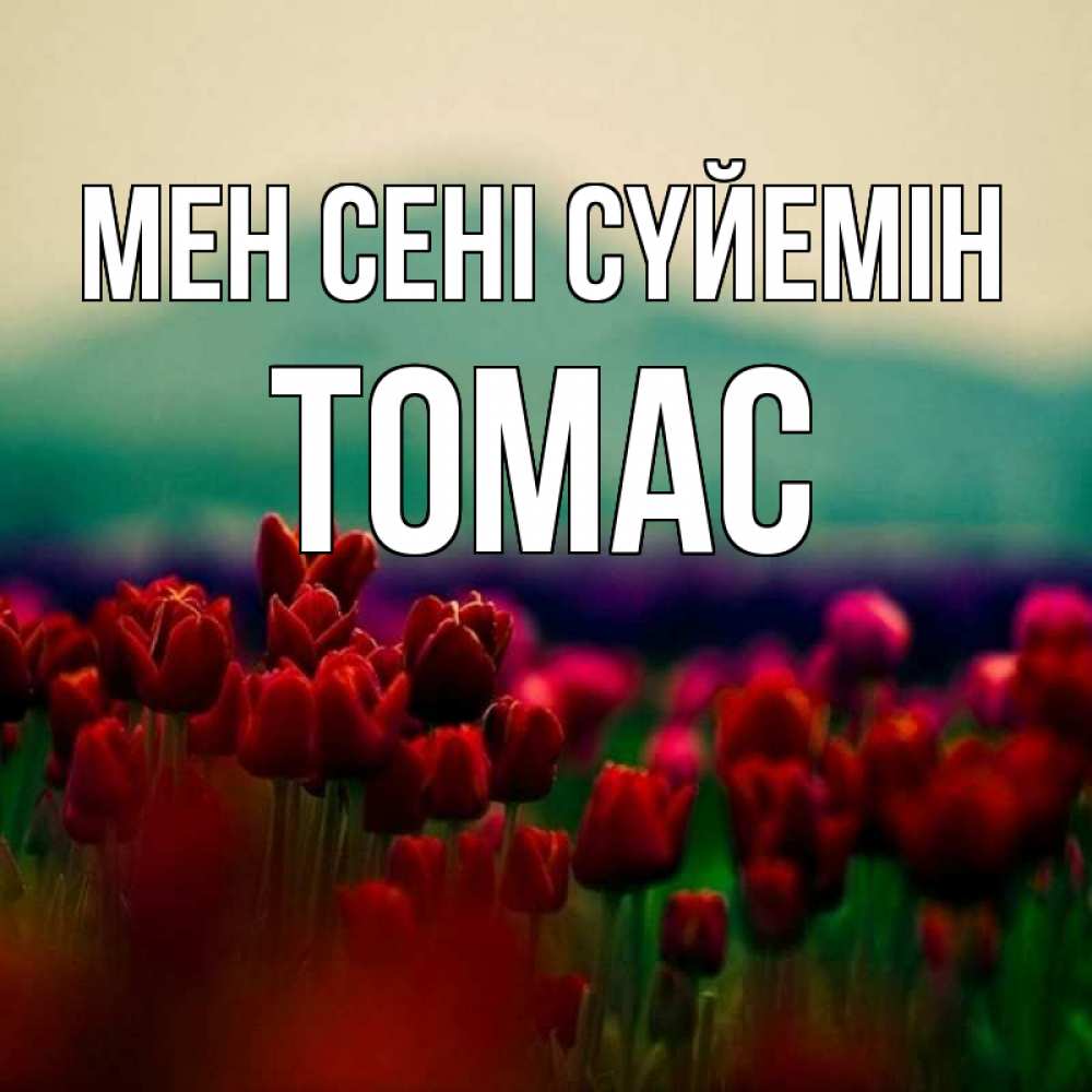 Күн сайын ашық хат с именем, Томас Мен сені сүйемін тюльпаны 4 Онлайн тегін жүктеп алу тілектері бар керемет карта 