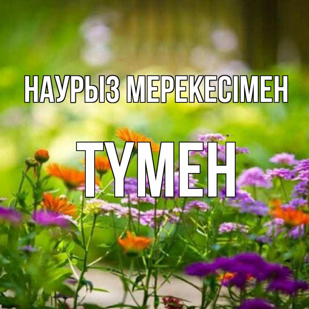 Күн сайын ашық хат с именем, ТҮМЕН Наурыз мерекесімен цветы Онлайн тегін жүктеп алу тілектері бар керемет карта 