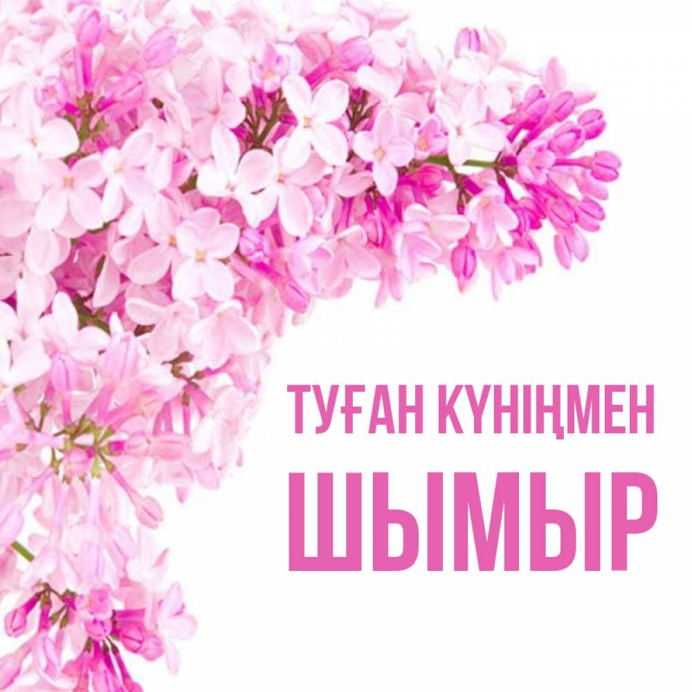 Күн сайын ашық хат с именем, ШЫМЫР Туған күніңмен Сирень на белом фоне Онлайн тегін жүктеп алу тілектері бар керемет карта 