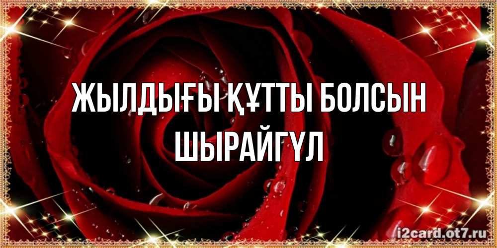 Күн сайын ашық хат с именем, ШЫРАЙГҮЛ Жылдығы құтты болсын цветок в росе на день рождения Онлайн тегін жүктеп алу тілектері бар керемет карта 
