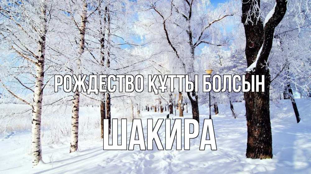 Күн сайын ашық хат с именем, Шакира Рождество құтты болсын зимний лес Онлайн тегін жүктеп алу тілектері бар керемет карта 