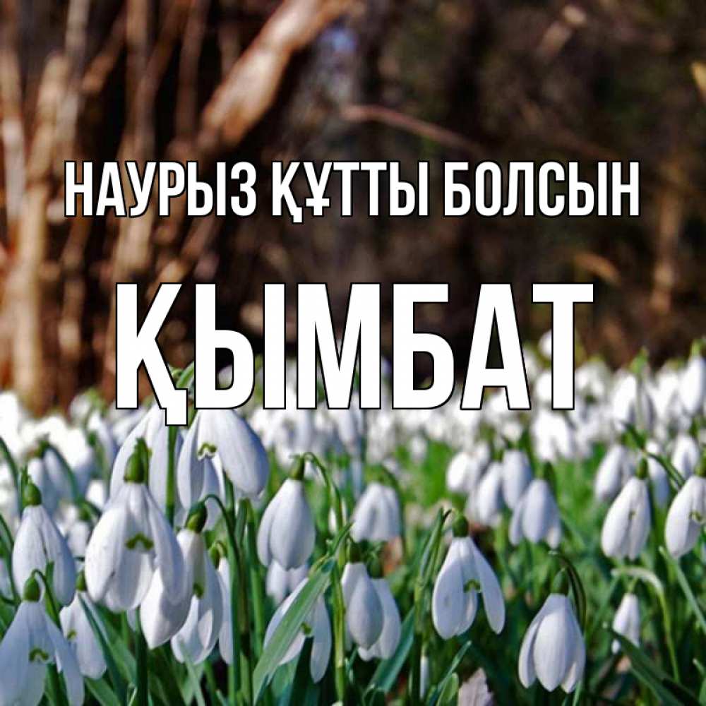 Күн сайын ашық хат с именем, ҚЫМБАТ Наурыз құтты болсын с подснежниками 1 Онлайн тегін жүктеп алу тілектері бар керемет карта 