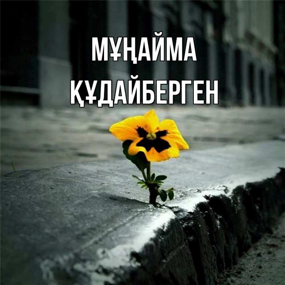Күн сайын ашық хат с именем, ҚҰДАЙБЕРГЕН Мұңайма не сдавайся Онлайн тегін жүктеп алу тілектері бар керемет карта 