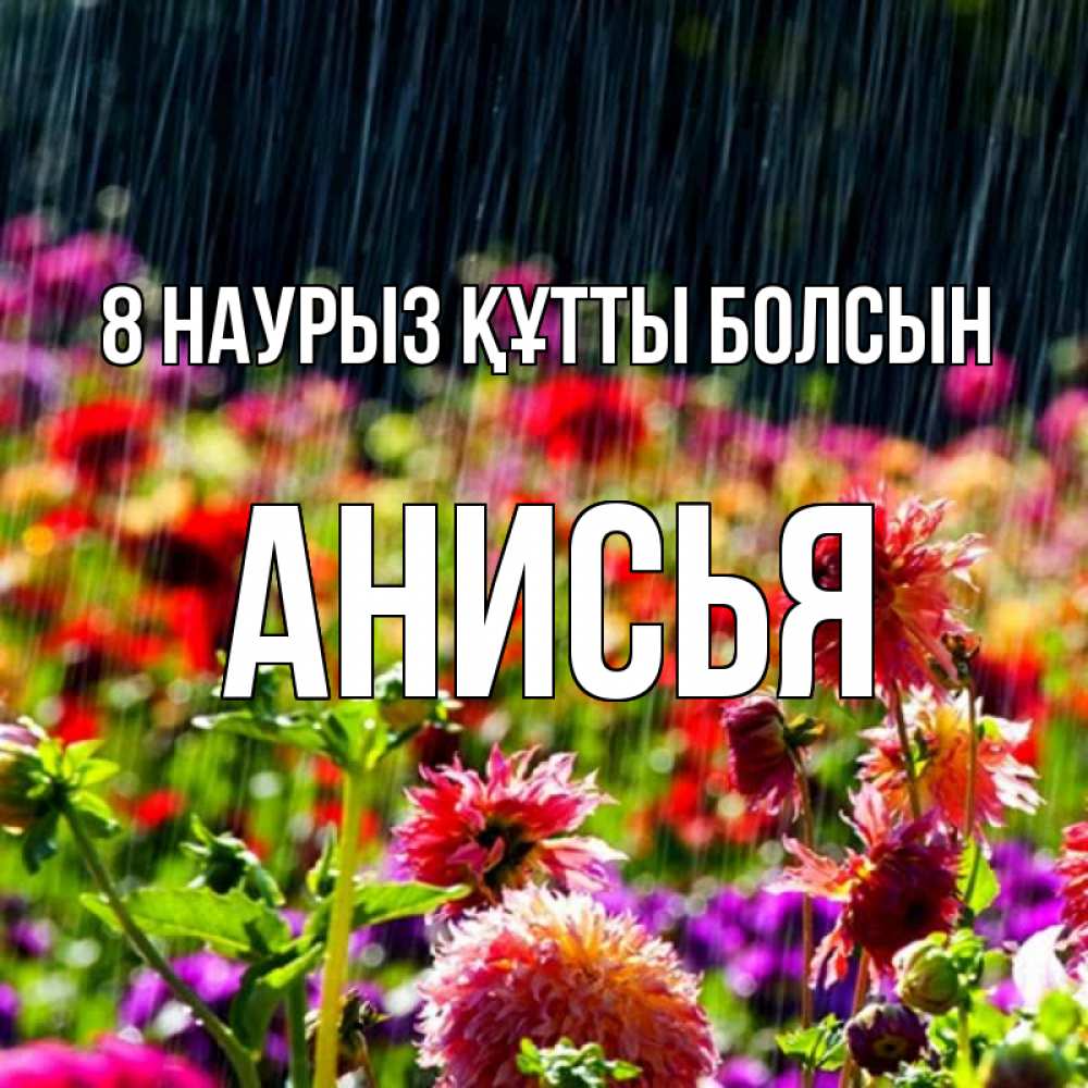 Күн сайын ашық хат с именем, Анисья 8 наурыз құтты болсын цветы под дождиком к международному женскому дню Онлайн тегін жүктеп алу тілектері бар керемет карта 