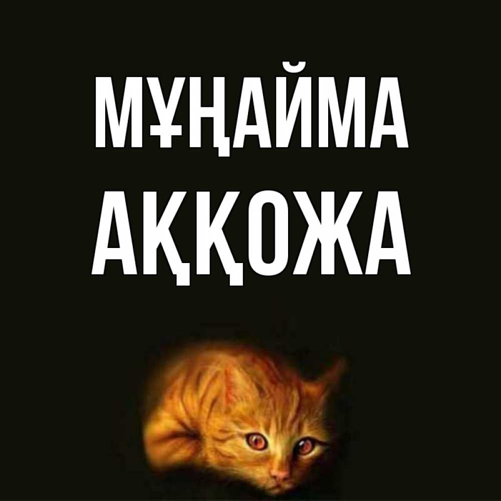 Күн сайын ашық хат с именем, Аққожа Мұңайма лежащий кот в темноте Онлайн тегін жүктеп алу тілектері бар керемет карта 