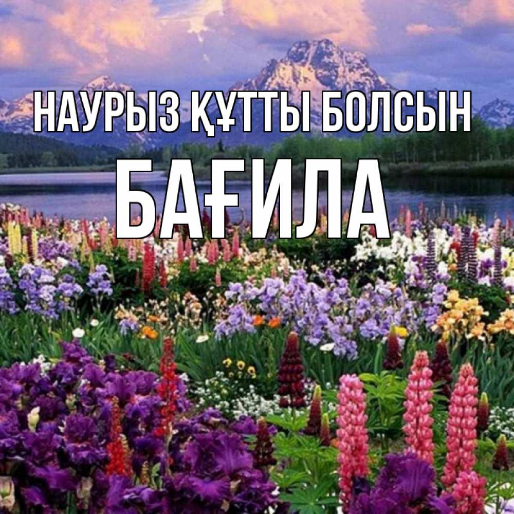 Күн сайын ашық хат с именем, БАҒИЛА Наурыз құтты болсын наурыз Онлайн тегін жүктеп алу тілектері бар керемет карта 