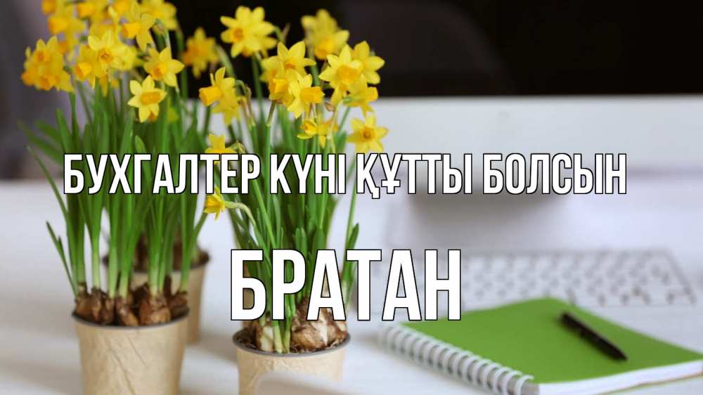 Күн сайын ашық хат с именем, Братан бухгалтер күні құтты болсын с днем бухгалтера Онлайн тегін жүктеп алу тілектері бар керемет карта 