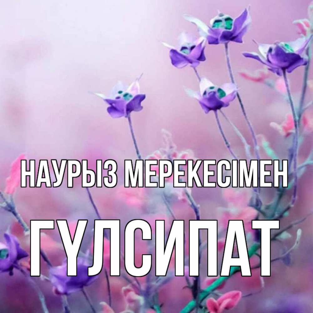Күн сайын ашық хат с именем, ГҮЛСИПАТ Наурыз мерекесімен международный женский день 2 Онлайн тегін жүктеп алу тілектері бар керемет карта 