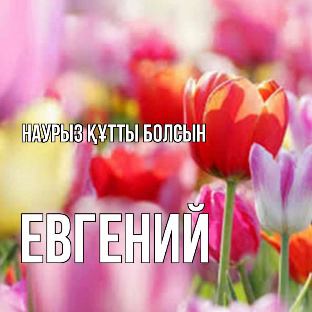 Күн сайын ашық хат с именем, Евгений Наурыз құтты болсын на наурыз  2 Онлайн тегін жүктеп алу тілектері бар керемет карта 