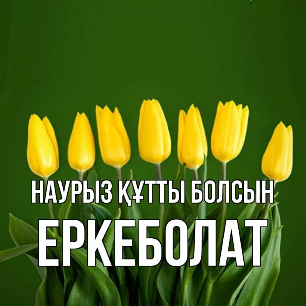 Күн сайын ашық хат с именем, Еркеболат Наурыз құтты болсын желтого цвета 3 Онлайн тегін жүктеп алу тілектері бар керемет карта 