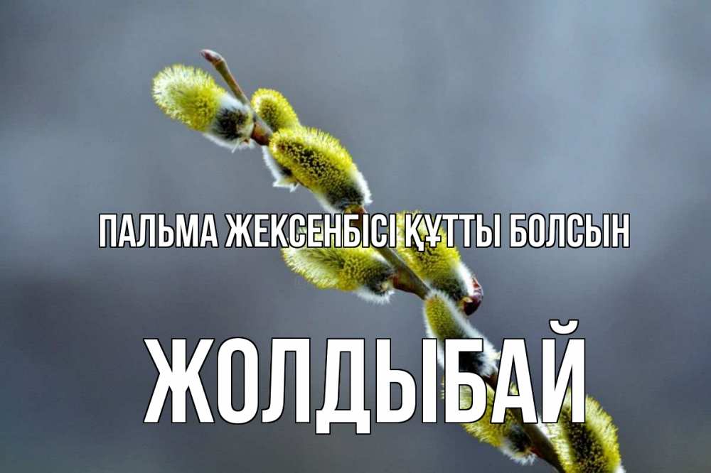 Күн сайын ашық хат с именем, Жолдыбай Пальма жексенбісі құтты болсын верба Онлайн тегін жүктеп алу тілектері бар керемет карта 