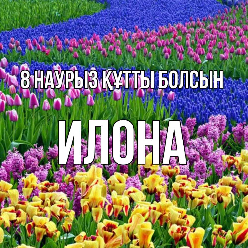 Күн сайын ашық хат с именем, Илона 8 наурыз құтты болсын цветы Онлайн тегін жүктеп алу тілектері бар керемет карта 