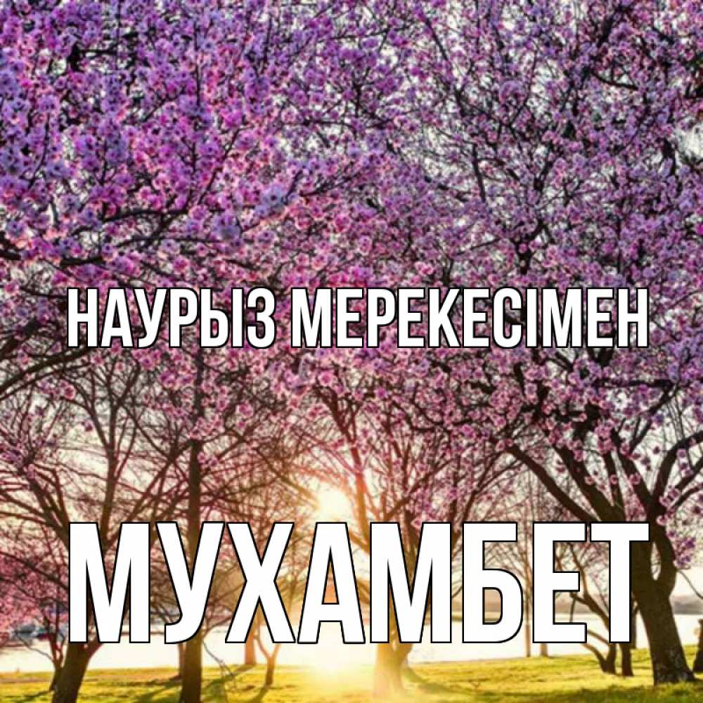 Күн сайын ашық хат с именем, МУХАМБЕТ Наурыз мерекесімен праздник весны наурыз Онлайн тегін жүктеп алу тілектері бар керемет карта 