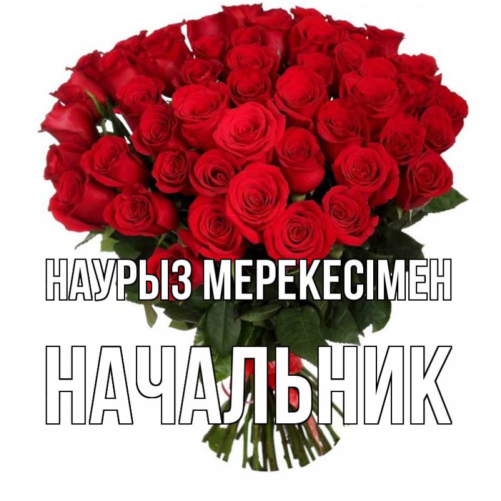 Күн сайын ашық хат с именем, Начальник Наурыз мерекесімен цветы на праздник весны наурыз 1 Онлайн тегін жүктеп алу тілектері бар керемет карта 