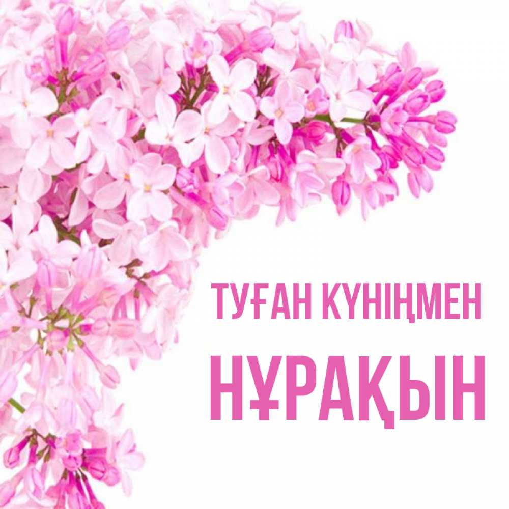 Күн сайын ашық хат с именем, НҰРАҚЫН Туған күніңмен Сирень на белом фоне Онлайн тегін жүктеп алу тілектері бар керемет карта 