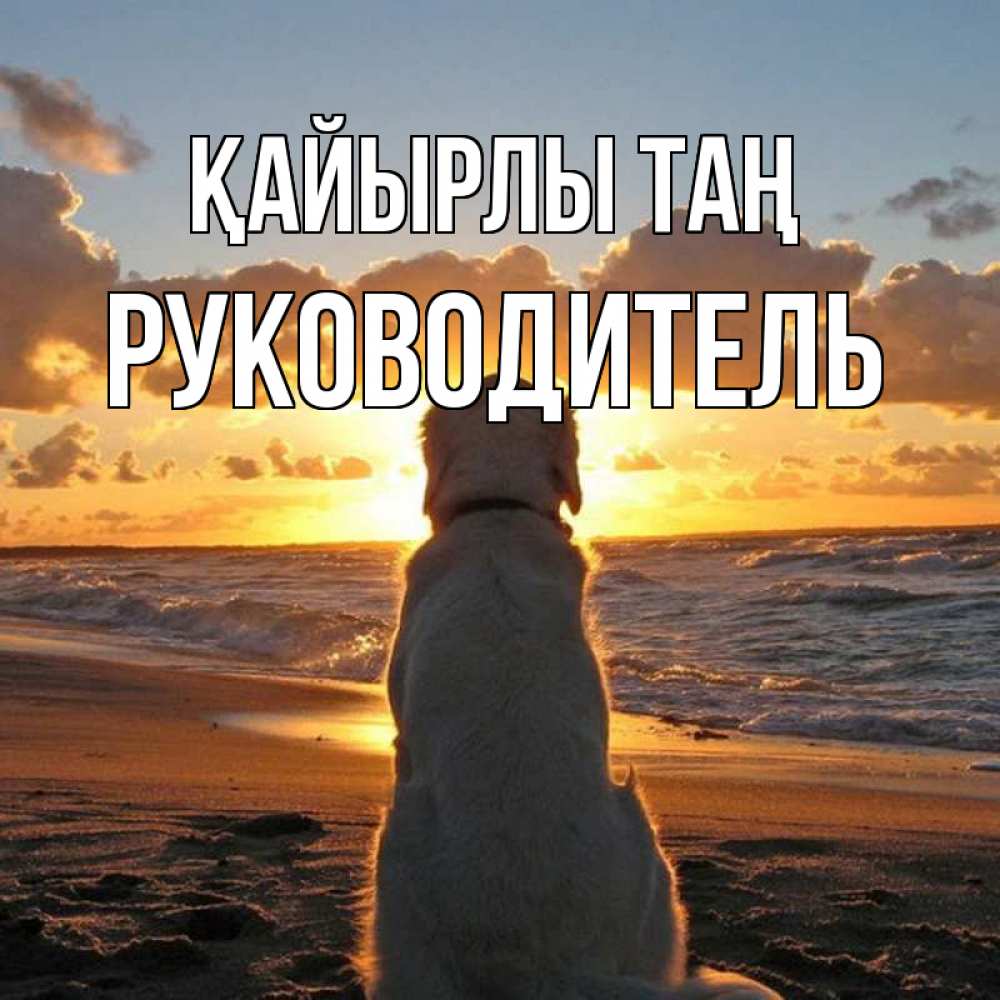 Күн сайын ашық хат с именем, Руководитель Қайырлы таң восход солнца Онлайн тегін жүктеп алу тілектері бар керемет карта 