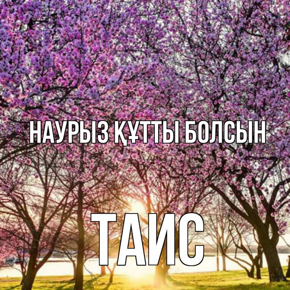 Күн сайын ашық хат с именем, Таис Наурыз құтты болсын наурыз Онлайн тегін жүктеп алу тілектері бар керемет карта 