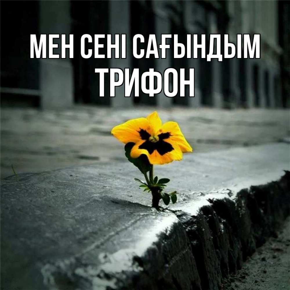 Күн сайын ашық хат с именем, Трифон Мен сені сағындым надеюсь будет лучше Онлайн тегін жүктеп алу тілектері бар керемет карта 