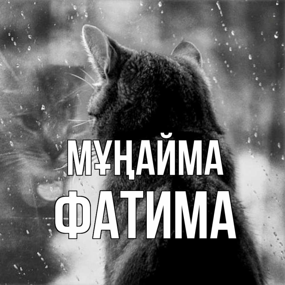 Күн сайын ашық хат с именем, ФАТИМА Мұңайма отражение кота 1 Онлайн тегін жүктеп алу тілектері бар керемет карта 