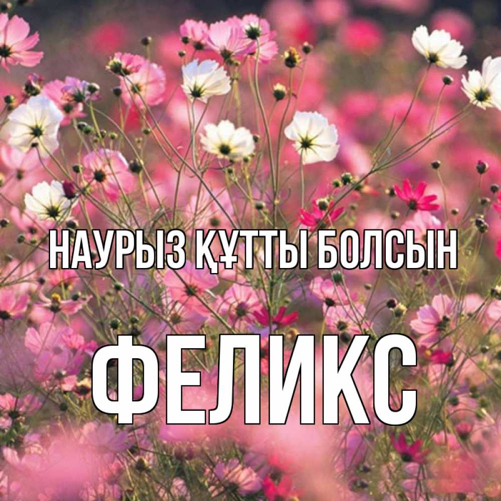 Күн сайын ашық хат с именем, Феликс Наурыз құтты болсын красиво 1 Онлайн тегін жүктеп алу тілектері бар керемет карта 