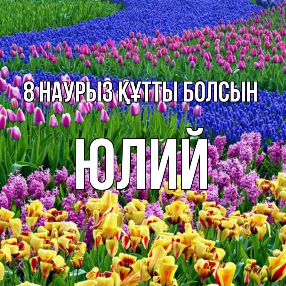 Күн сайын ашық хат с именем, Юлий 8 наурыз құтты болсын цветы Онлайн тегін жүктеп алу тілектері бар керемет карта 