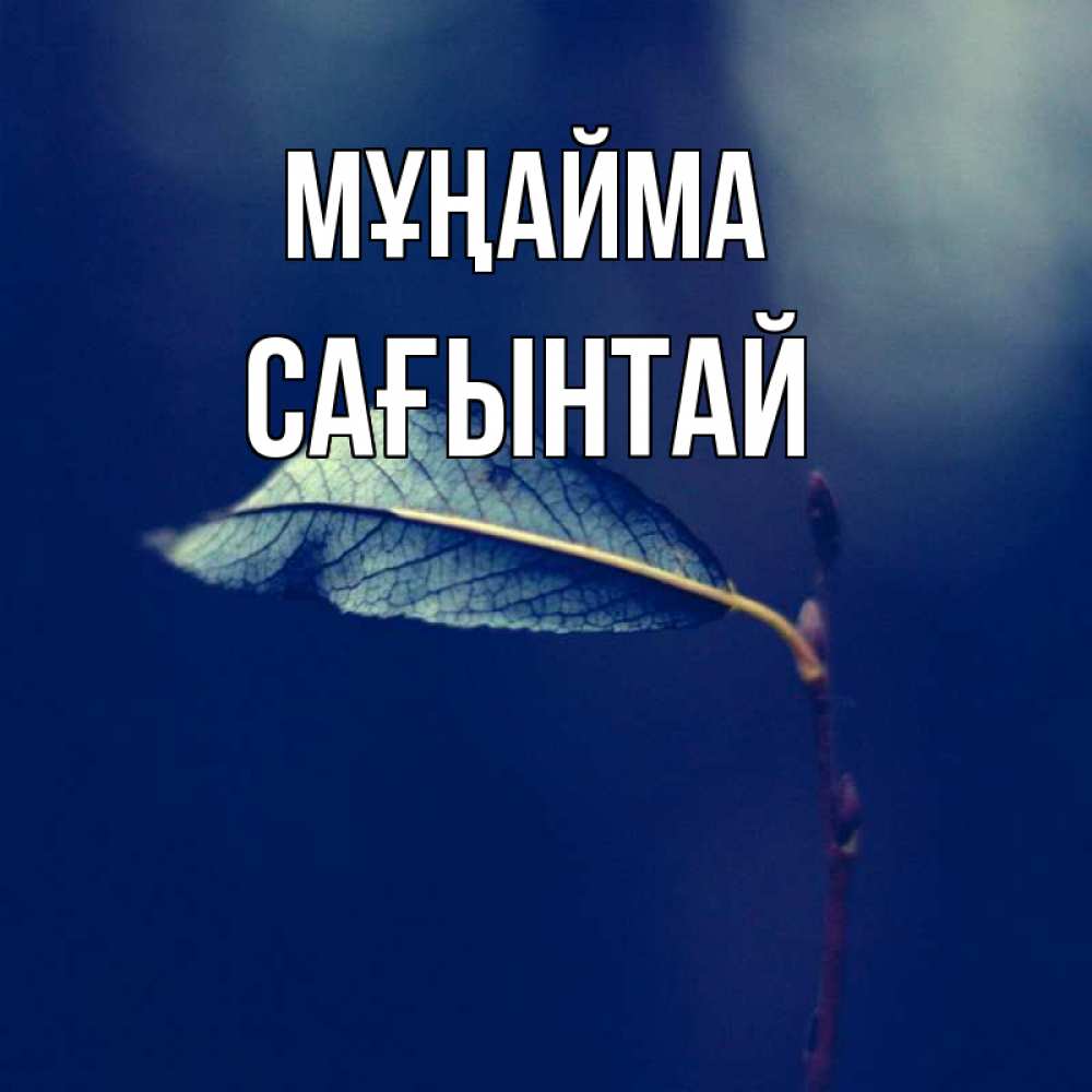 Күн сайын ашық хат с именем, Сағынтай Мұңайма растение Онлайн тегін жүктеп алу тілектері бар керемет карта 
