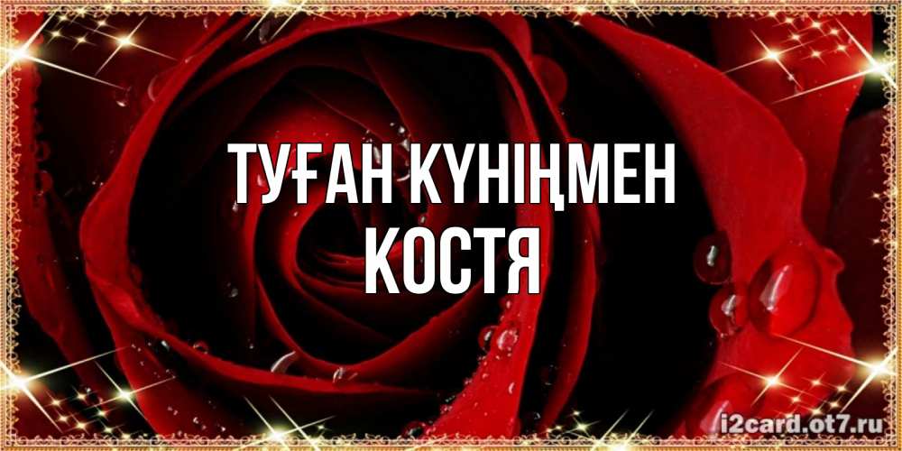 Күн сайын ашық хат с именем, Костя Туған күніңмен цветок в росе на день рождения Онлайн тегін жүктеп алу тілектері бар керемет карта 
