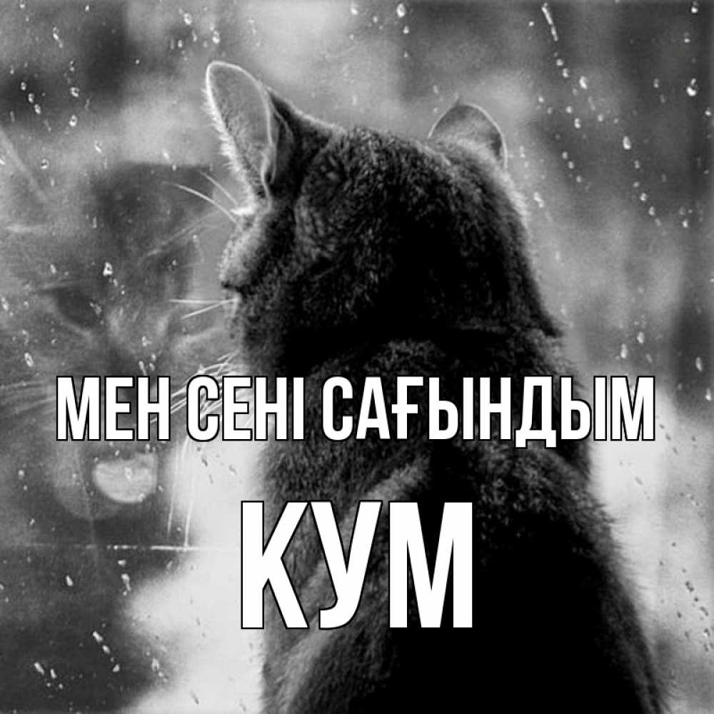 Күн сайын ашық хат с именем, Кум Мен сені сағындым скорее ко мне приходи 1 Онлайн тегін жүктеп алу тілектері бар керемет карта 