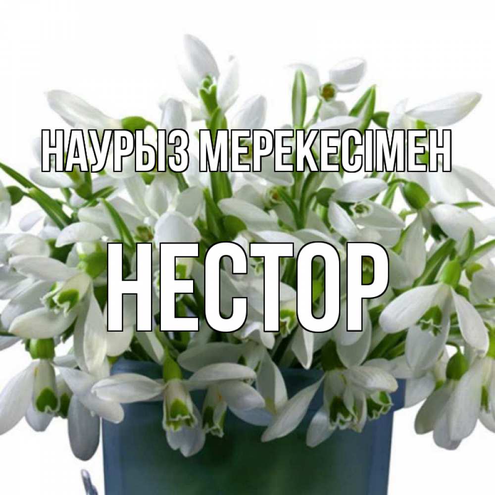 Күн сайын ашық хат с именем, Нестор Наурыз мерекесімен цветы к наурызу новый год в Казахстане Онлайн тегін жүктеп алу тілектері бар керемет карта 